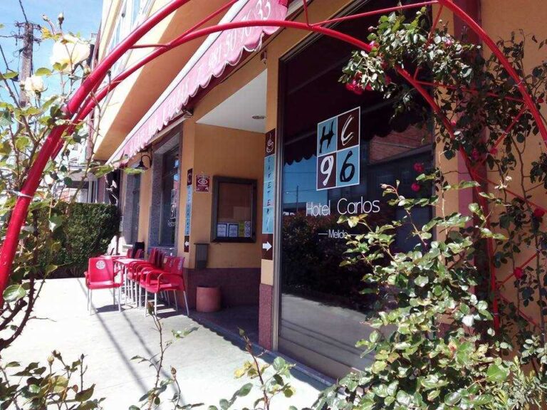 carlos 96 11 web 1 768x576