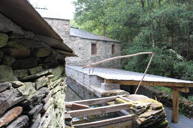 IMG 6242 Copy 768x512