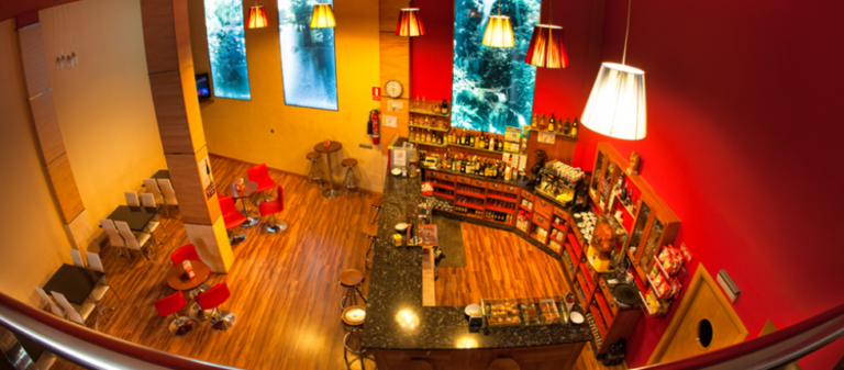 imagen de su web 768x337