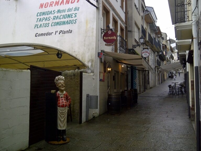 Viveiro 20120415 00121 768x576