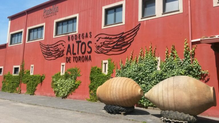 Bodega Altos de Torona2 768x432