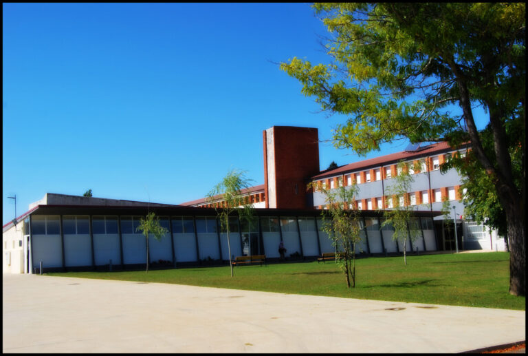 D. Antonino y Da Cinia scaled 1 768x517