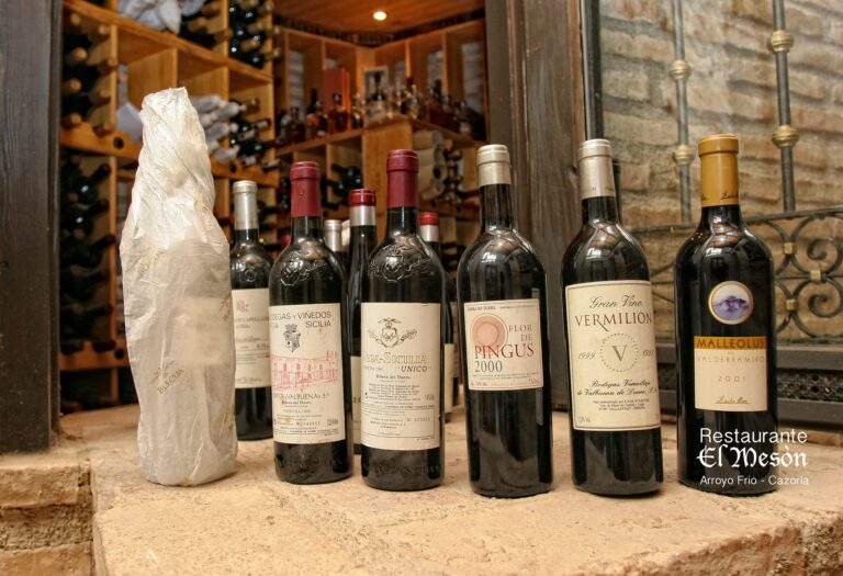 Restaurante El Meson2 768x525