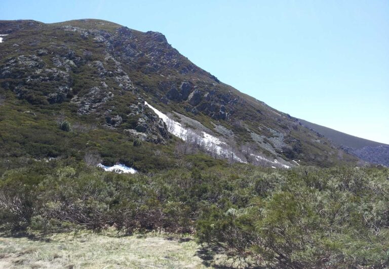 20130511 132022 web 768x532