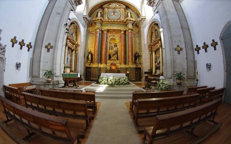 IMGP3609 web 768x481