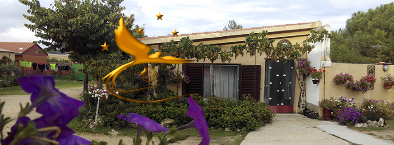 11076261 942819352416261 8813188109637301707 n 768x284